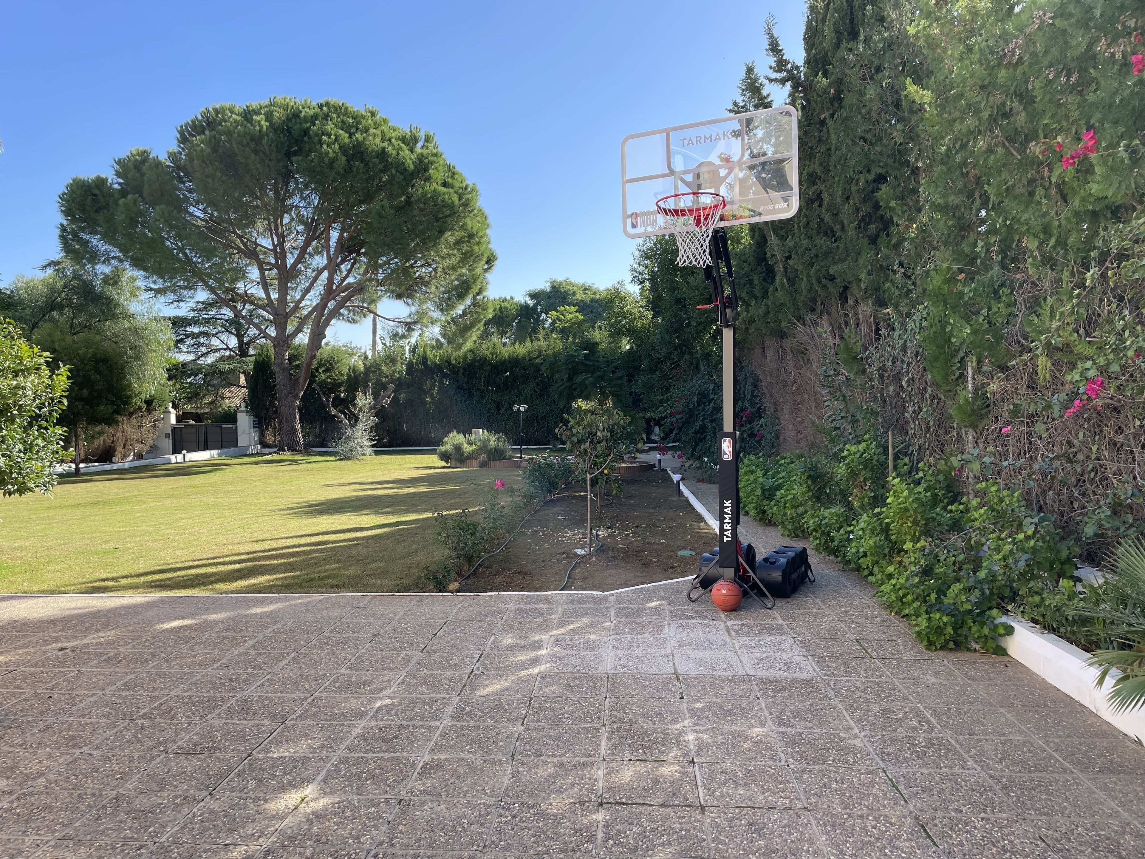 A basketball hoop with a Tarmac brand sign, a paved area, and a garden with trees and shrubs.
