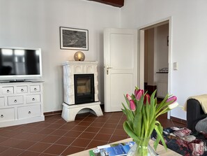 TV, fireplace