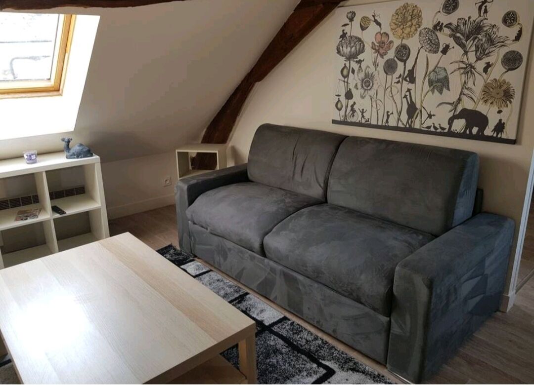 Orléans superb T2 between theater and cathedral