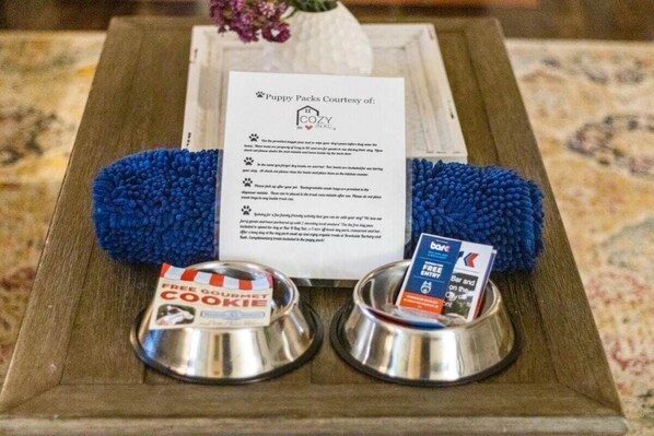 Une table avec deux gamelles pour chiens en métal, une carte avec du texte et un objet bleu à texture.
