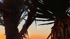 Escena de playa con una palmera y un atardecer al fondo.