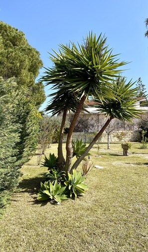 Parco della struttura