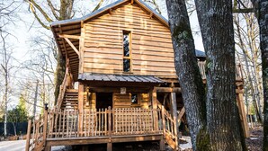 A wooden cabin with a porch and a staircase leading to the entrance.