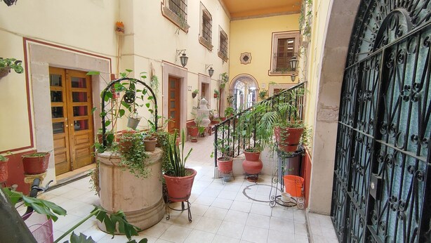 A narrow corridor with potted plants, a wooden door, and a metal gate. - OYO Posada Santa Cecilia, Jerez Zacatecas  (Jerez de Garcia Salinas)