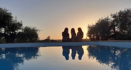 LA MARCHOZA Alojamiento, AZNALCÁZAR Pinar y Ribera, EL ROCIO, DOÑANA, Playas.