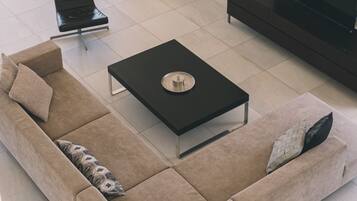 TV connectée, cheminée, jeux vidéo, lecteur de DVD