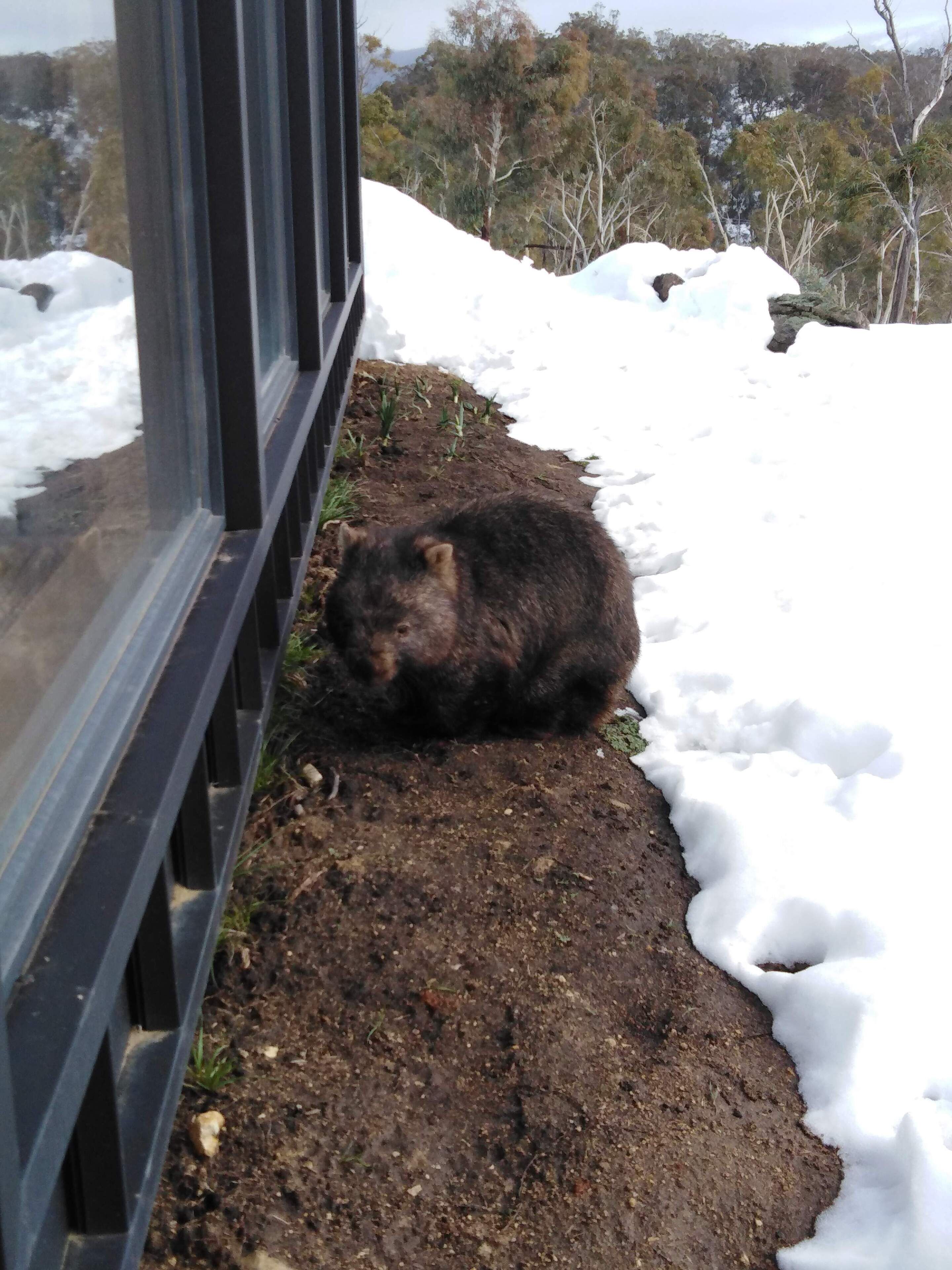 Spectacular Mountain Retreat 'Rangeview' — image 24