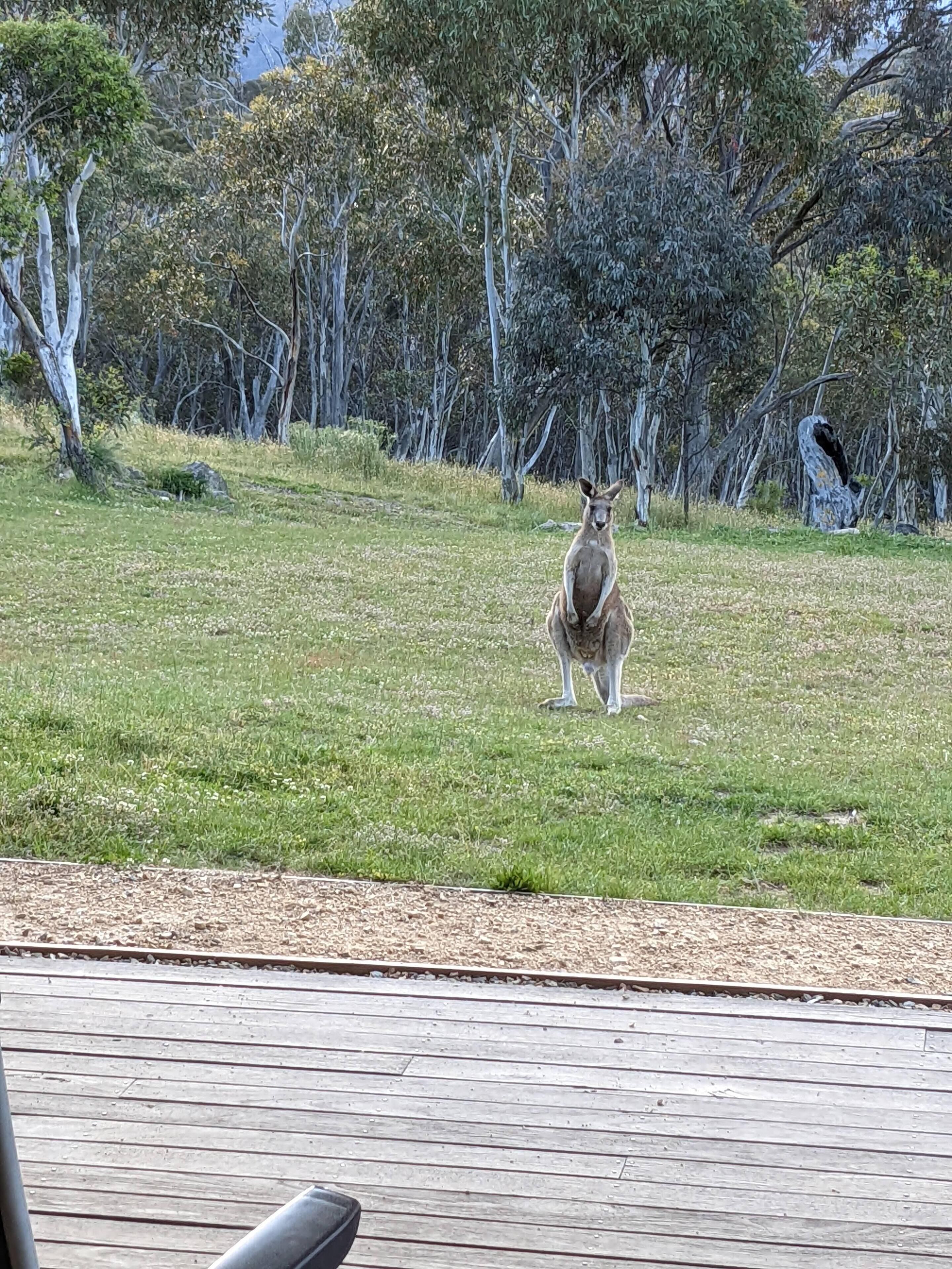 Spectacular Mountain Retreat 'Rangeview' — image 21