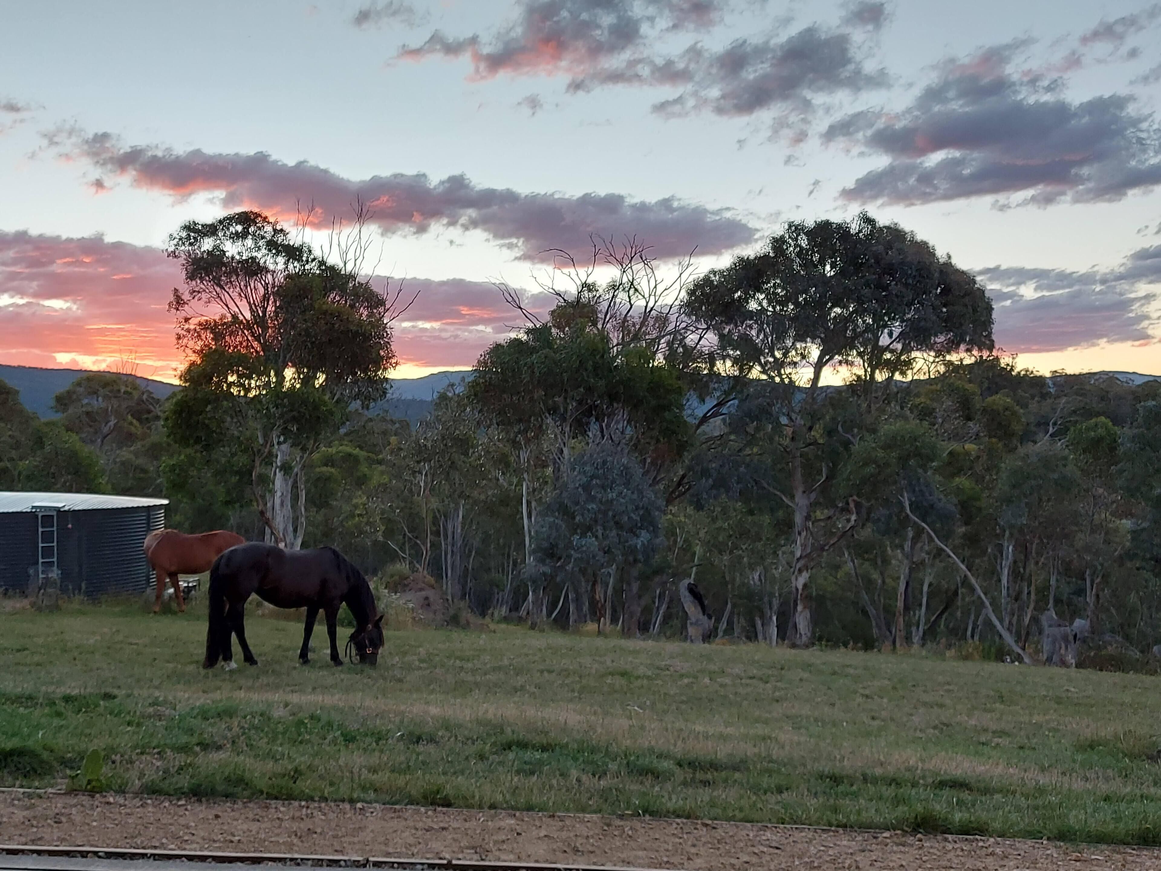 Spectacular Mountain Retreat 'Rangeview' — image 22