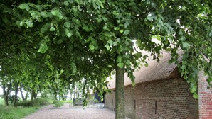 Ein Kiesweg führt zu einem Backsteinhaus mit Strohdach.