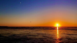 Ein Sonnenuntergang über einem Strand, ein Vogel am Himmel.