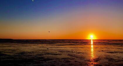 Luxury vacation studio near the Wadden Sea with private sauna.