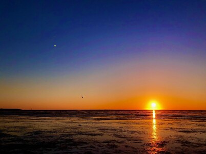 Luxury vacation studio near the Wadden Sea with private sauna.