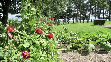 Details aan de buitenkant