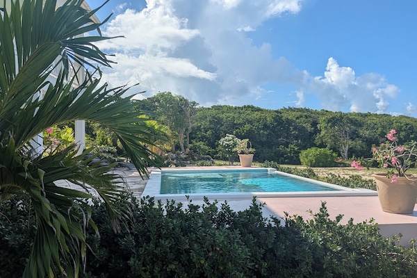 Welcome to Sephora House, a new hilltop estate with panoramic ocean views.