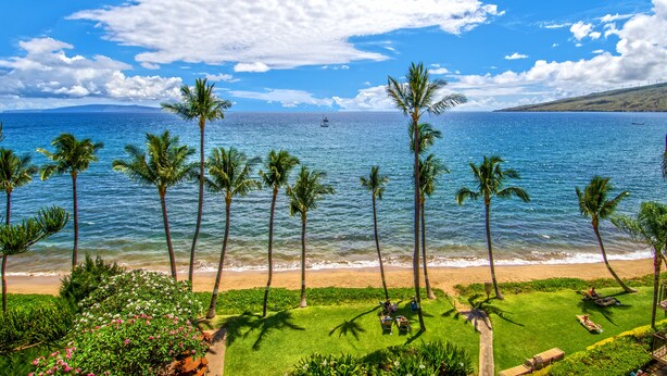 Vista de una playa con palmeras, cielo despejado y un barco a lo lejos.