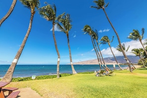 A beachside view with palm trees, a picnic table, and a sign indicating no access.