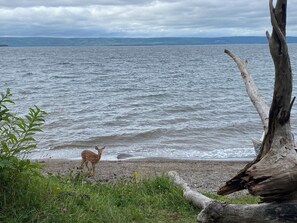 Tæt på stranden, liggestole, badehåndklæder