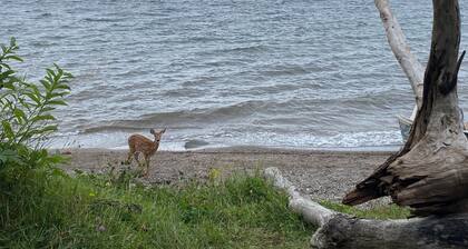 Writerâs Retreat. Secluded Waterfront Bras dâOr Lake, Cape Breton