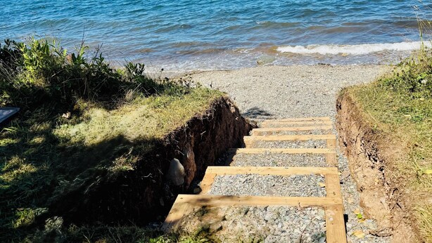 Nær stranden, solsenger og strandhåndklær