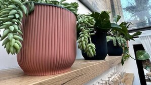 A wooden shelf with three potted plants and several wine glasses. - Design Led 1 bed in Cosmopolitan Queens Park (London)