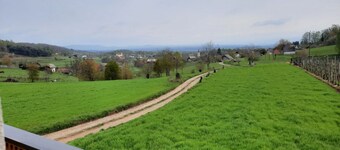 Vineyard cottage Klobčar
