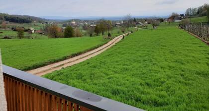 Vineyard cottage Klobčar
