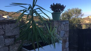 A potted plant in a white planter box against a stone wall, with a gate and a view of a hillside in the background.