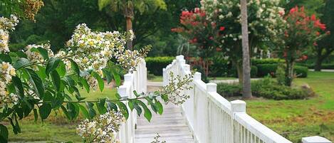 A wooden bridge with white railings, surrounded by lush greenery and flowering plants.