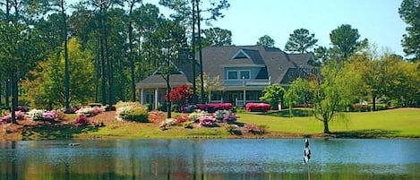 A house with a pond in front, surrounded by trees and landscaped gardens.