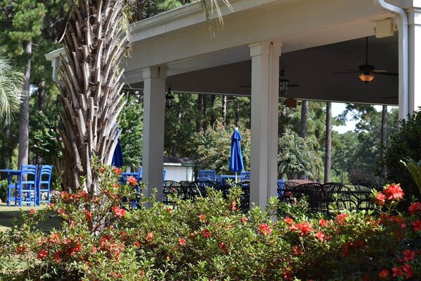 Studio | Property grounds