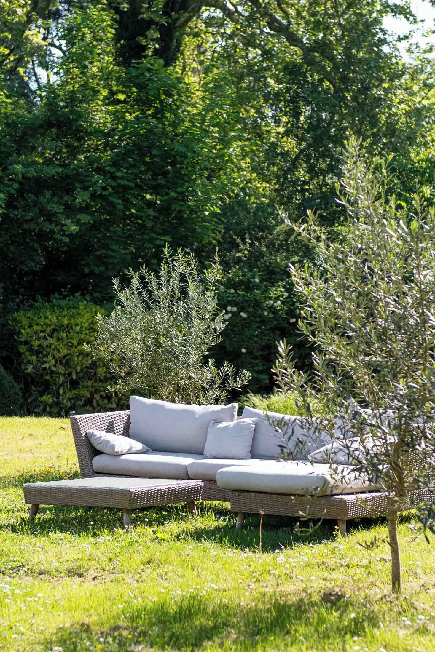 A wicker sofa with cushions in a grassy outdoor area, surrounded by trees and shrubs.