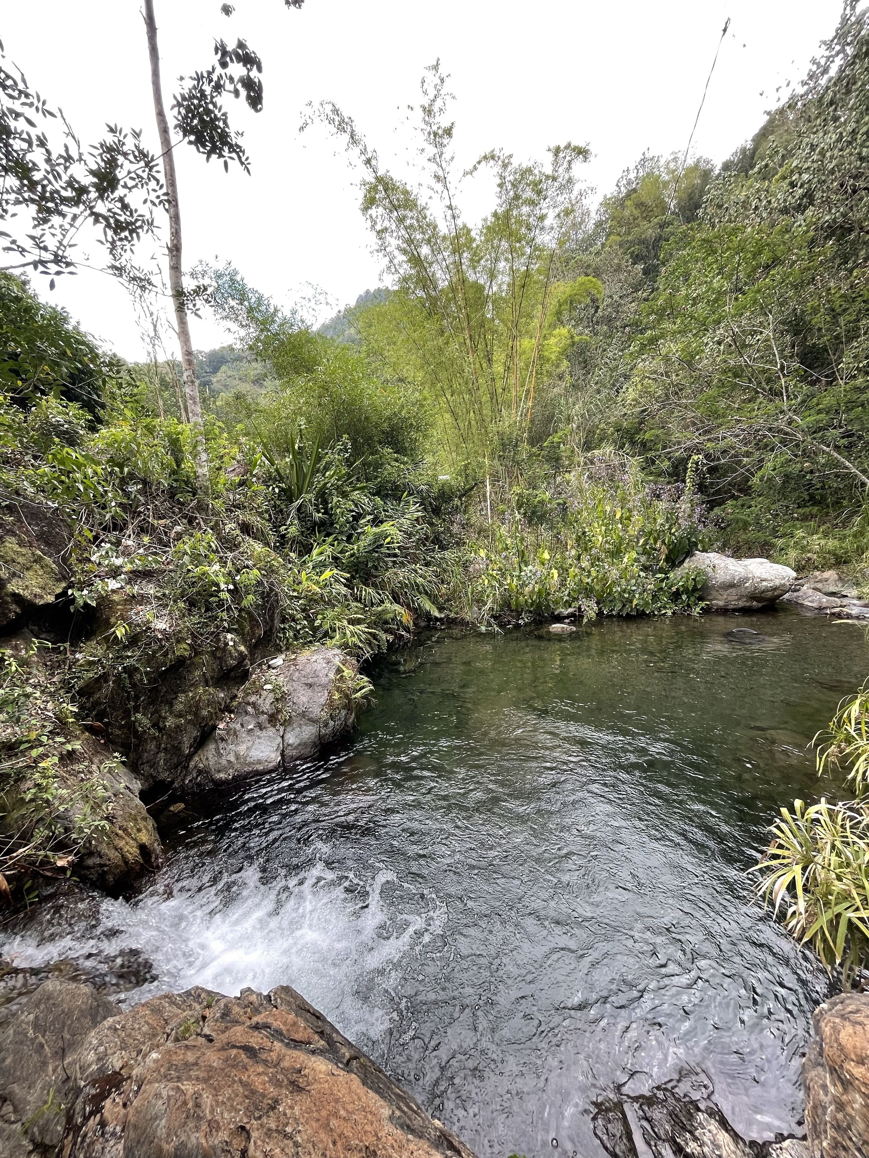A natural stream flowing through a rocky landscape with dense vegetation.
