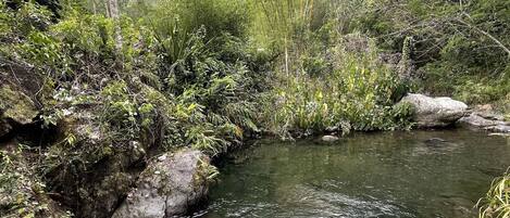 A natural stream flowing through a rocky landscape with dense vegetation.