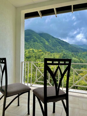 Luxury Room | View from room - Starlight Chalet (Silver Hill Gap)