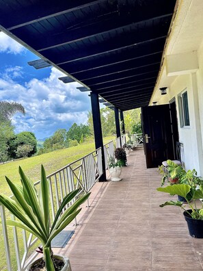 Deluxe Room | Terrace/patio