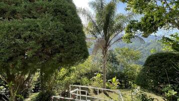 Um caminho serpenteia por um jardim com diversas árvores e arbustos.