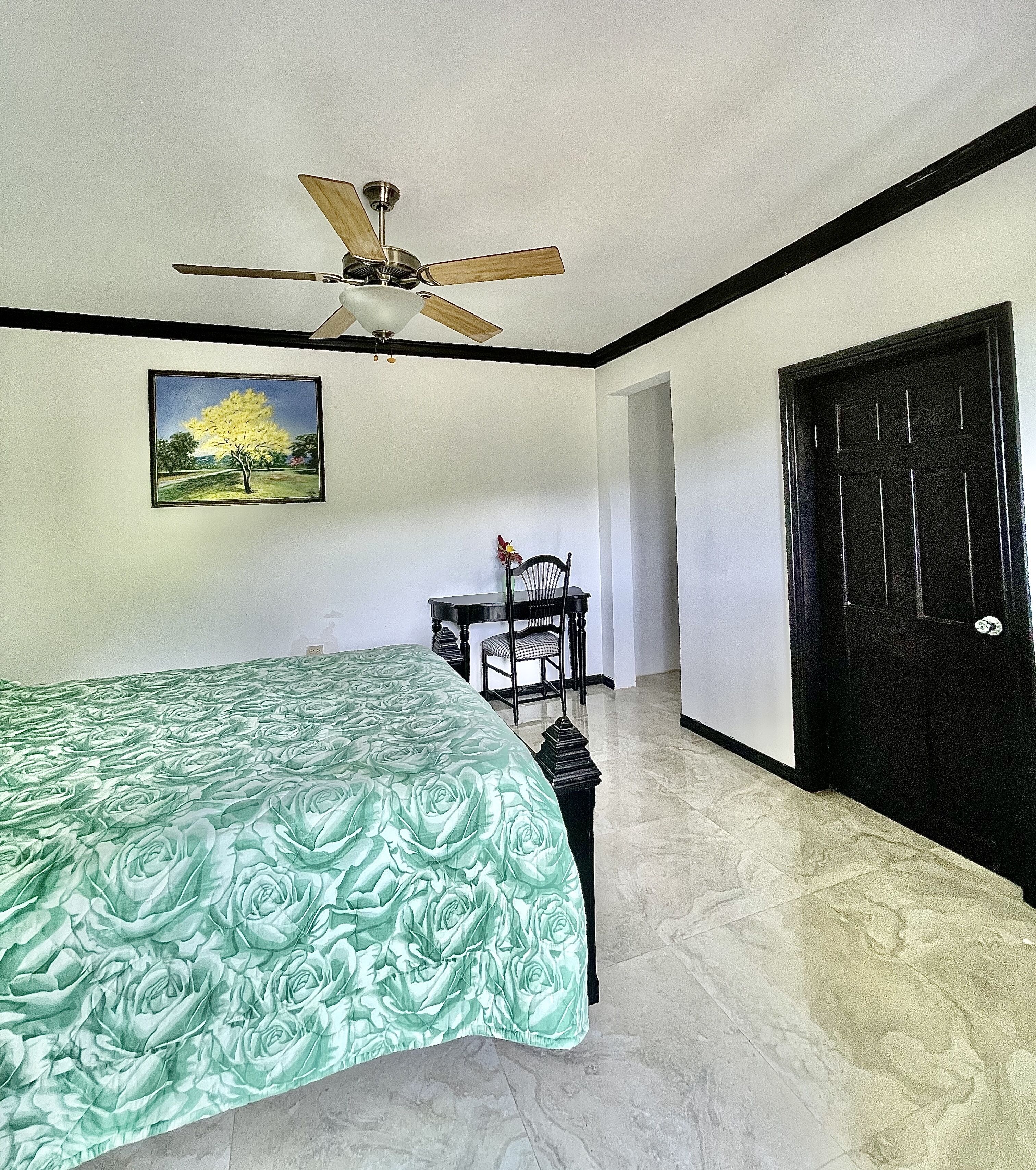 A bedroom with a bed, a ceiling fan, a desk with a chair, a door, and a painting on the wall.