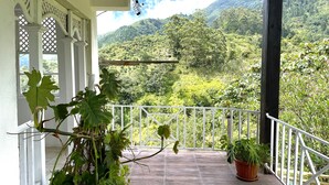A balcony with a view of lush green hills. - Starlight Chalet (Silver Hill Gap)