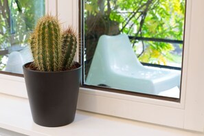 Douche, sèche-cheveux