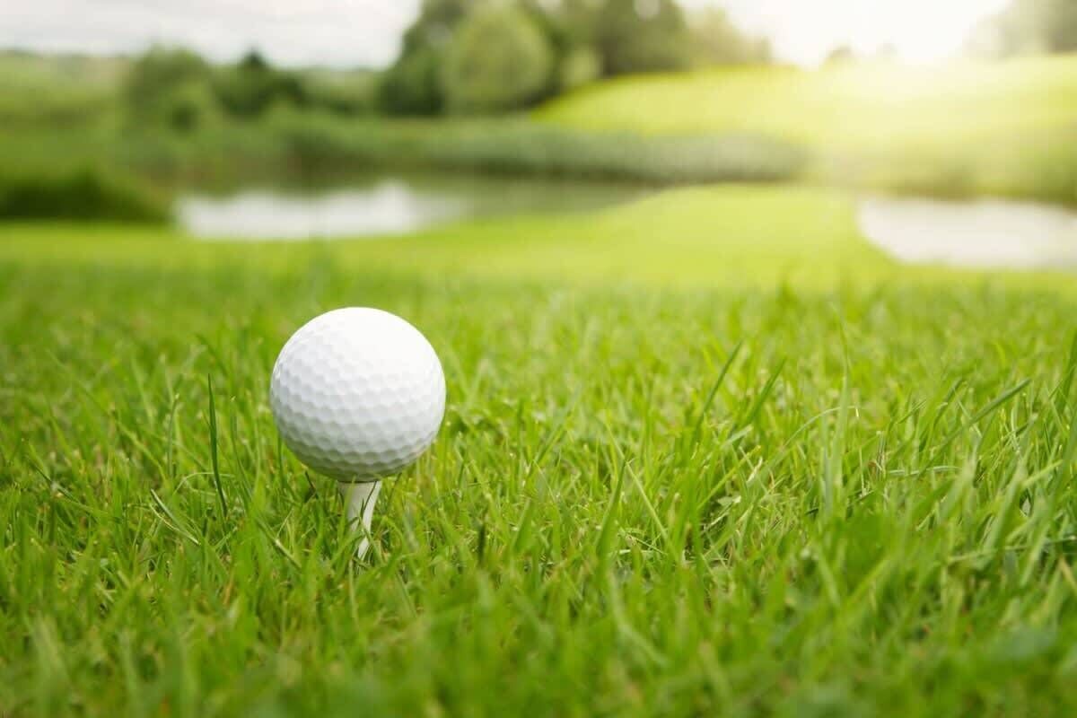 Una pelota de golf sobre un tee en un área cubierta de césped, con un fondo borroso de un estanque y árboles.