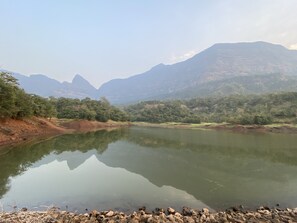 Image sans description, 5 de 9, bouton