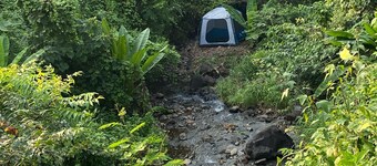 Connected with Nature 