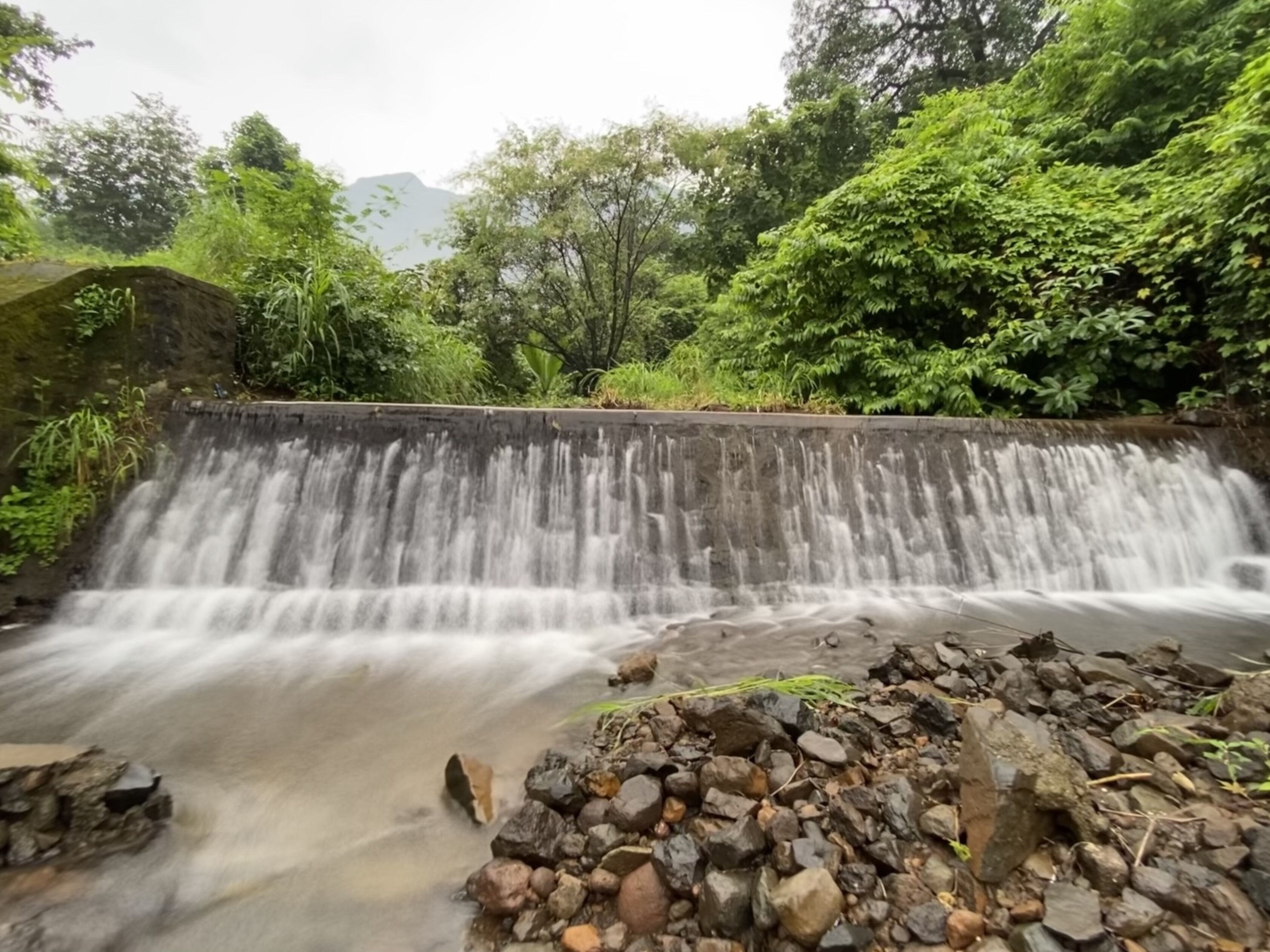 Connected with Nature 