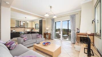 TV, fireplace, DVD player