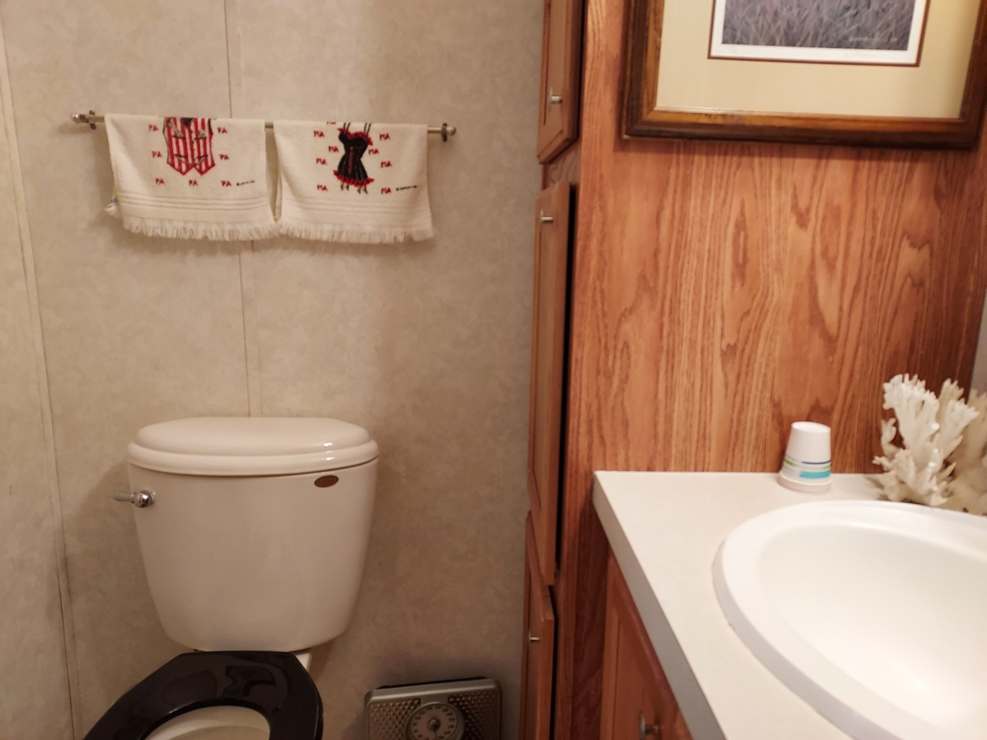 Country Cottage, guest friendly solitude in the forest. 4 season activity nearby