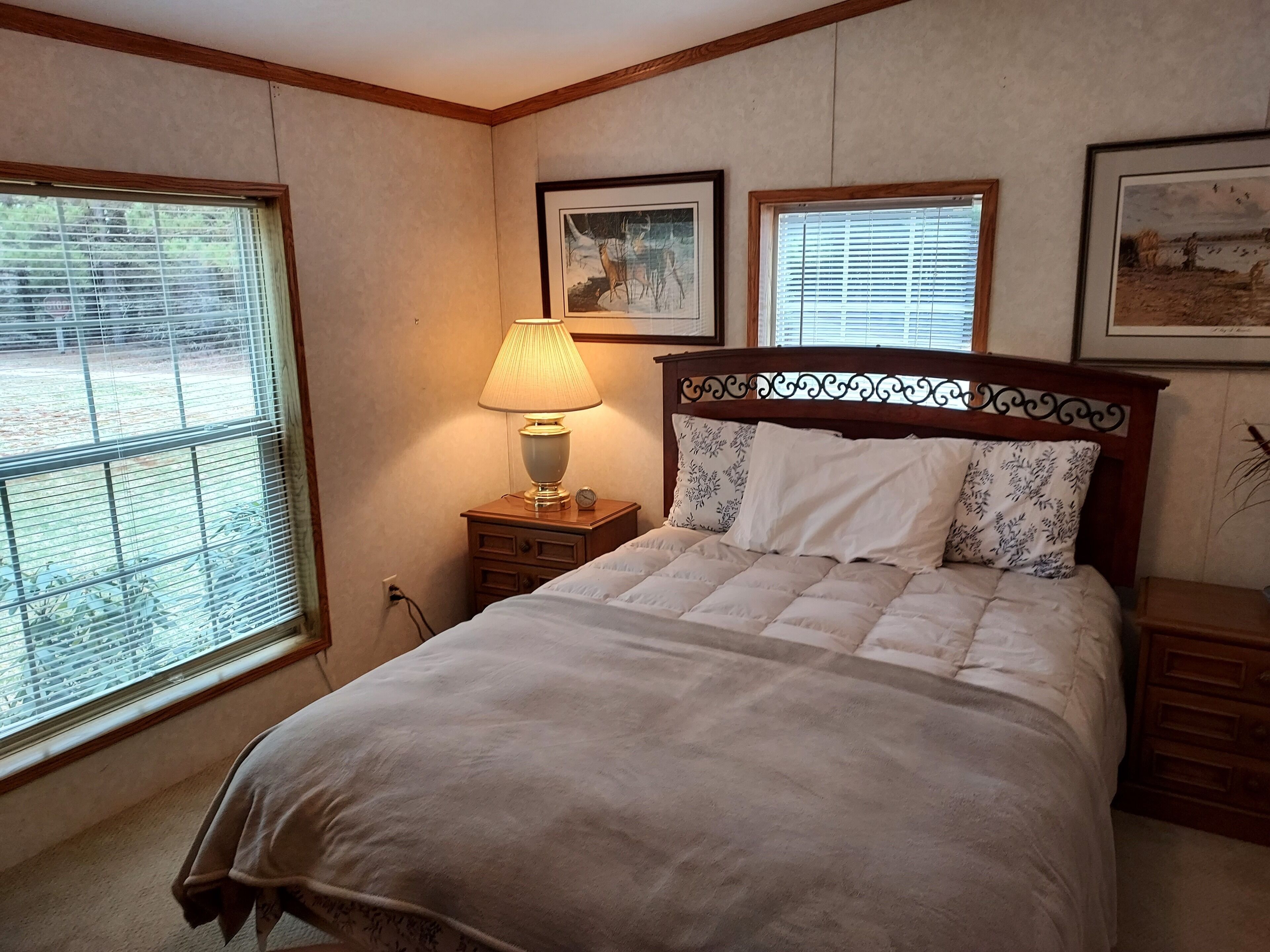 Country Cottage, guest friendly solitude in the forest. 4 season activity nearby