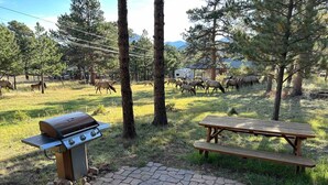 An outdoor area with a barbecue grill and picnic table, surrounded by trees and a grassy field. - Mountain Retreat | Hot Tub, AC & Wildlife By RMNP (Estes Park)