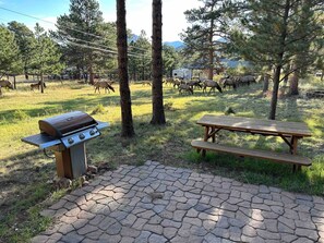 Ein Außenbereich mit Grill und Picknicktisch, umgeben von Bäumen und einer grünen Wiese.