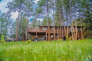 Exterior - Dogs OK! Hot Tub & King Bed. Wildlife Everywhere (Estes Park)